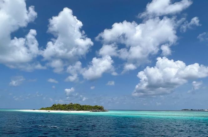 Detailbild Malediven, im Rhythmus der Riffmantas