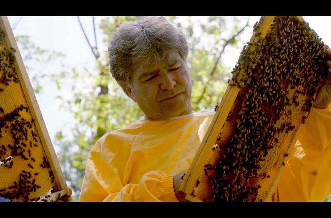 Detailbild Die Bienenflüsterer