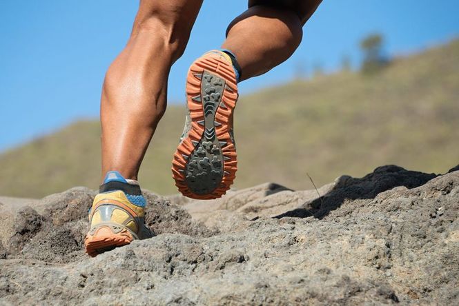 Detailbild Ötscher Trail Marathon