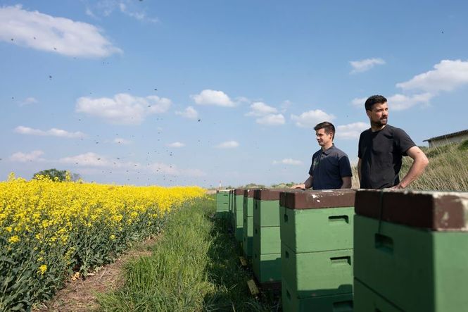 Detailbild Die Geschichte der Landwirtschaft - Vom Acker auf den Teller