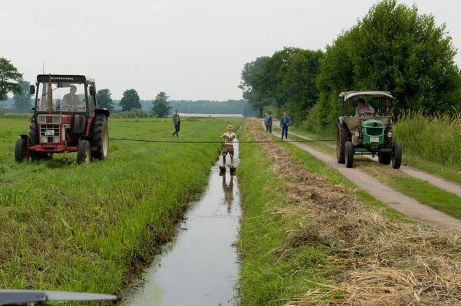 Detailbild Neues aus Büttenwarder