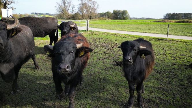 Detailbild Helden der Landwirtschaft