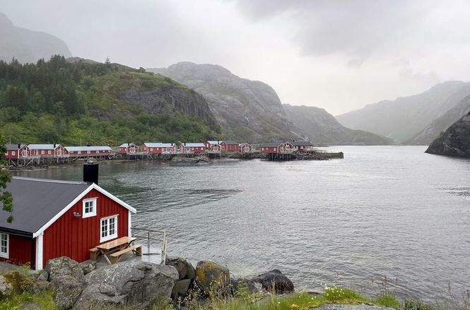 Detailbild Mittsommer in Norwegen