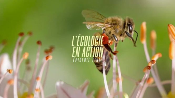 Detailbild L'écologie en action