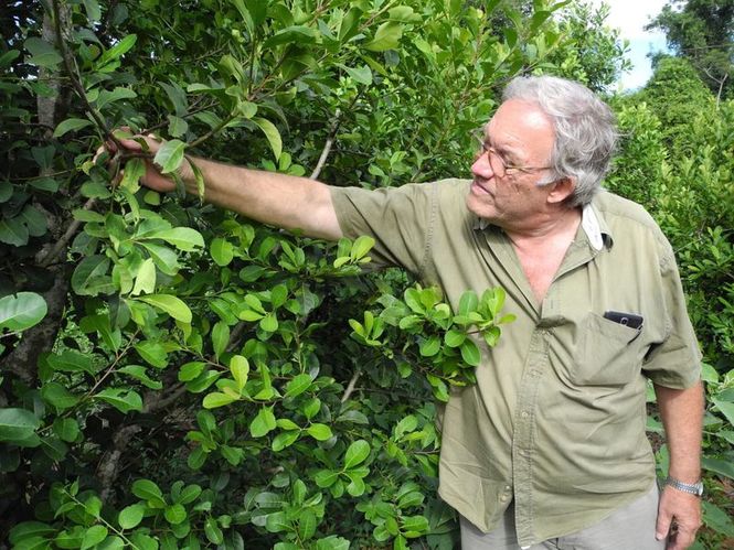 Detailbild Argentinien: Mate-Tee, die Seele des Landes