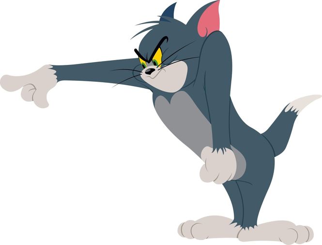 Detailbild Die Tom und Jerry Show
