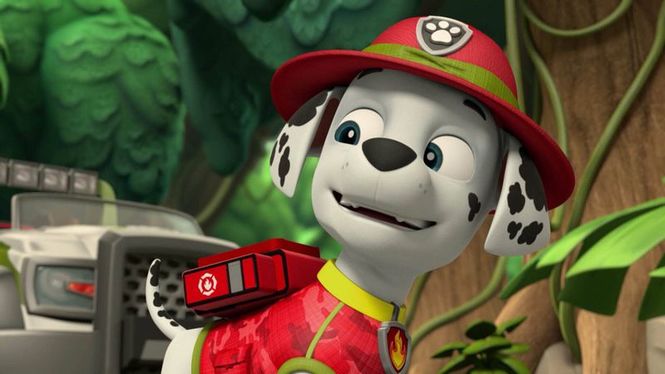 Detailbild Paw Patrol - Helfer auf vier Pfoten