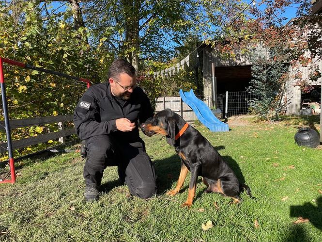 Detailbild Schweizer Hundegeschichten