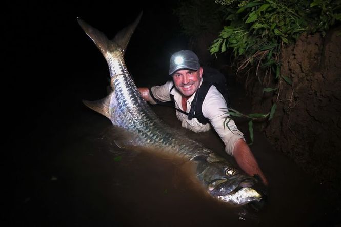 Detailbild Giganten unter Wasser - Riesenfischen auf der Spur