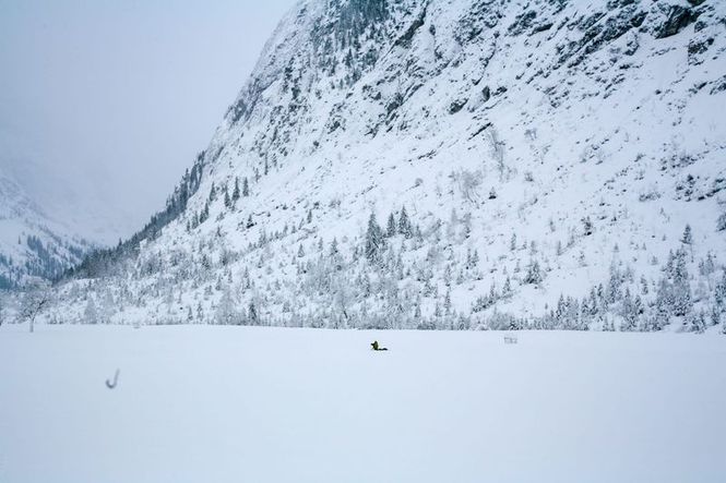 Detailbild Naturparadies Seefeld - Im Reich des Wanderfalken