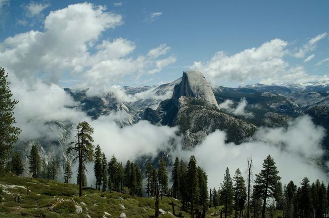 Detailbild Amerikas Naturwunder: Yosemite