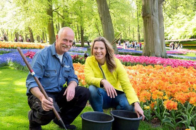 Detailbild Romantisches Holland - Zwischen Tulpenpracht und Königskrone