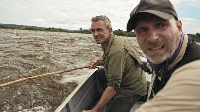 Detailbild Giganten unter Wasser - Riesenfischen auf der Spur