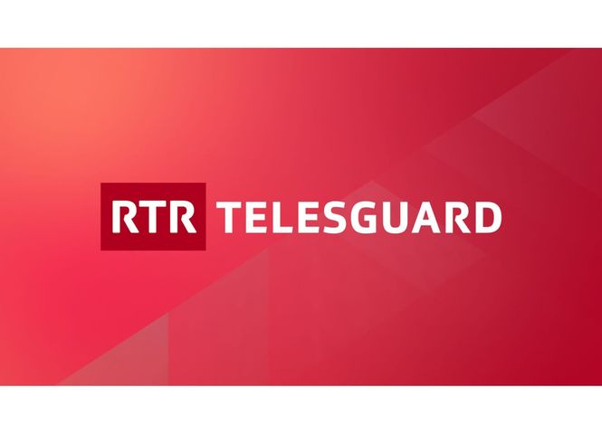 Detailbild Telesguard