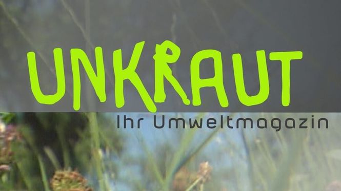 Detailbild Unkraut