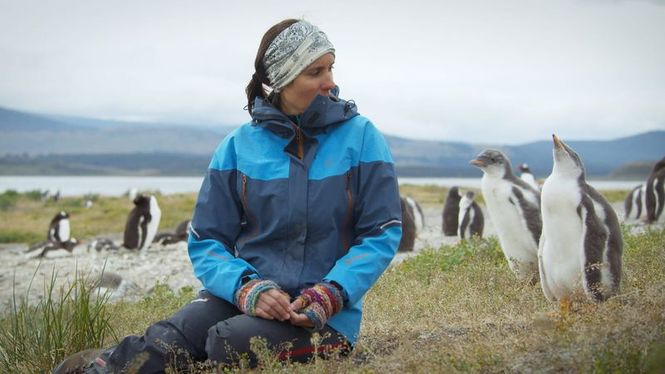 Detailbild Patagonien - Wunderwelt der Extreme