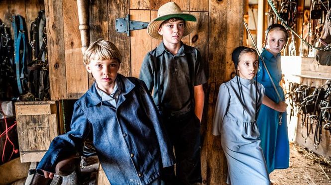 Detailbild Das Leben der Amish