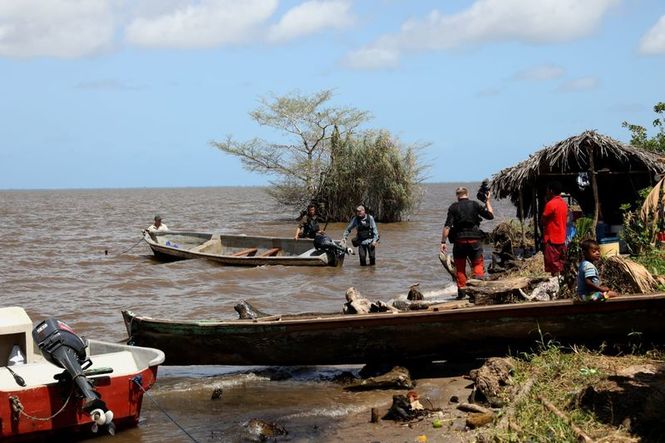 Detailbild Giganten unter Wasser - Riesenfischen auf der Spur