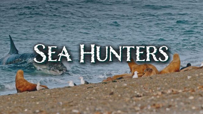 Detailbild Sea Hunters - Jäger der Ozeane
