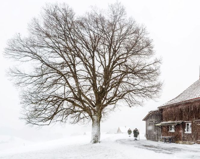 Detailbild Les Alpes Suisses : Entre traditions et superstitions