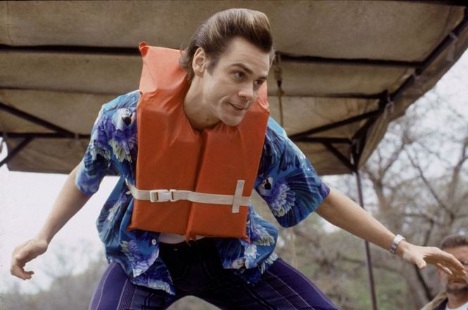 Detailbild Ace Ventura - Jetzt wird's wild