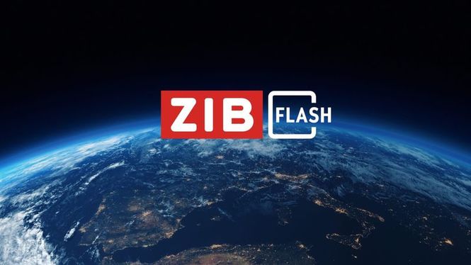 Detailbild ZIB Flash