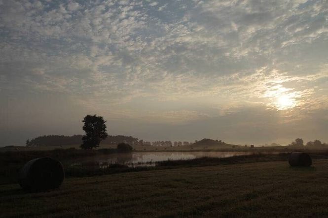 Detailbild Frankreich - Wild und schön