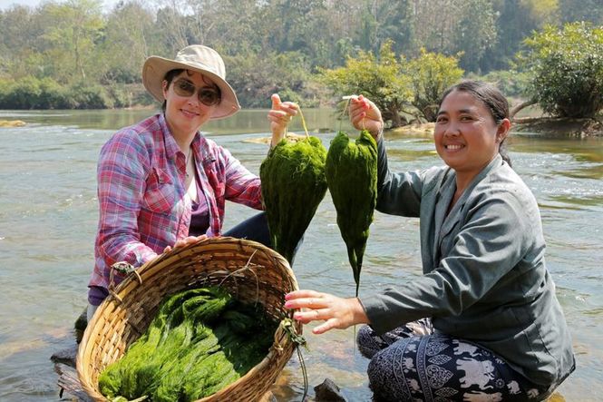 Detailbild Willkommen am Mekong