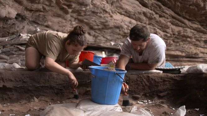 Detailbild Mit Laser und Pinsel - Die faszinierende Arbeit der Anthropologen