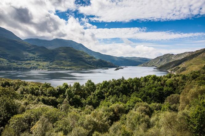 Detailbild Rückkehr der Wildnis in Schottlands Highlands