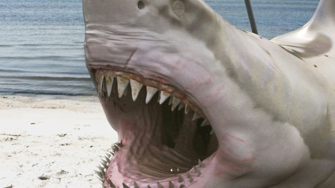 Detailbild Zombie Shark - The Swimming Dead