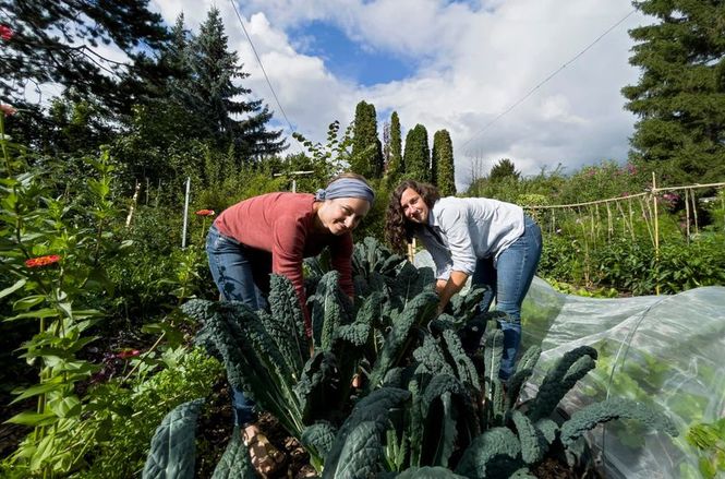 Detailbild Urban Farming - Gärtnern fürs Klima