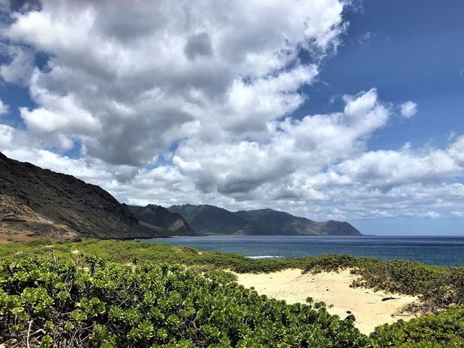 Detailbild Hawaiis versteckte Paradiese