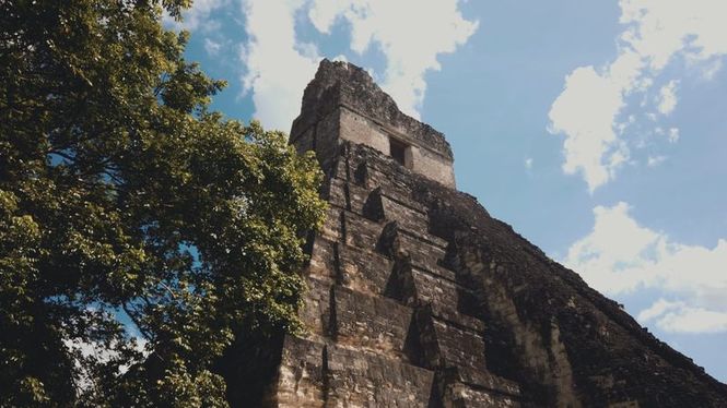 Detailbild Die Machtzentren der Maya