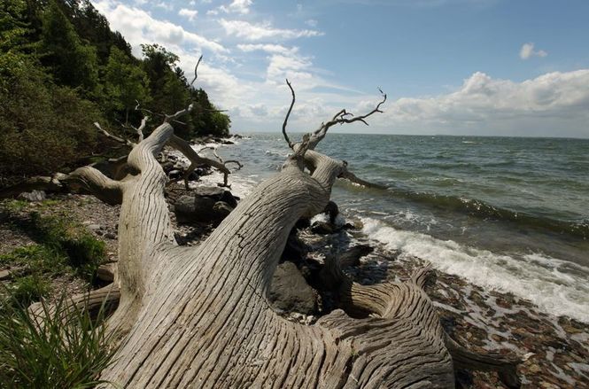 Detailbild Die Ostsee