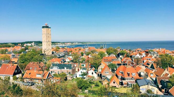 Detailbild Hollands Nordseeinsel Terschelling - Die Perle im Watt