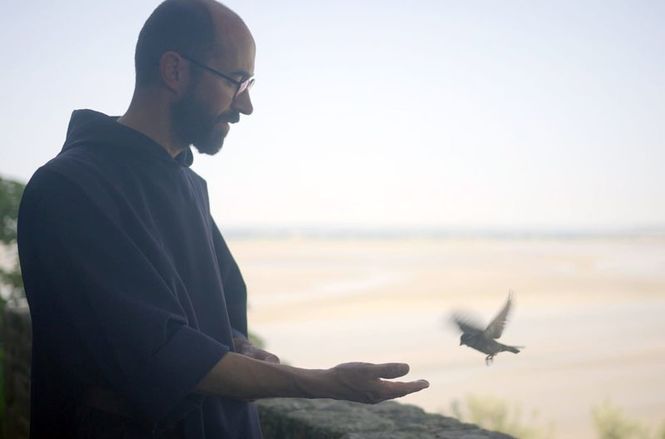 Detailbild Beachtliche Bauten und ihre wilden Nachbarn